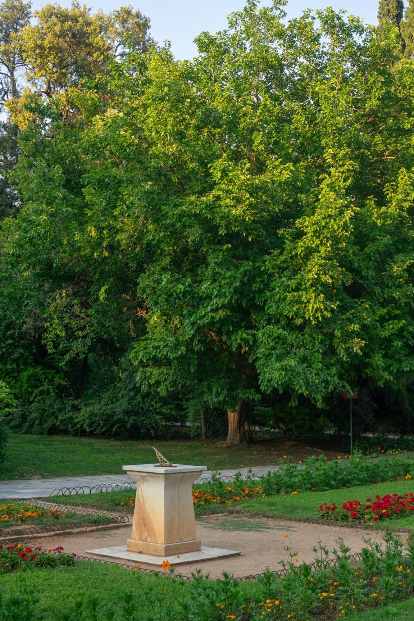 Ivy Apartments In The Heart Of Atene Esterno foto